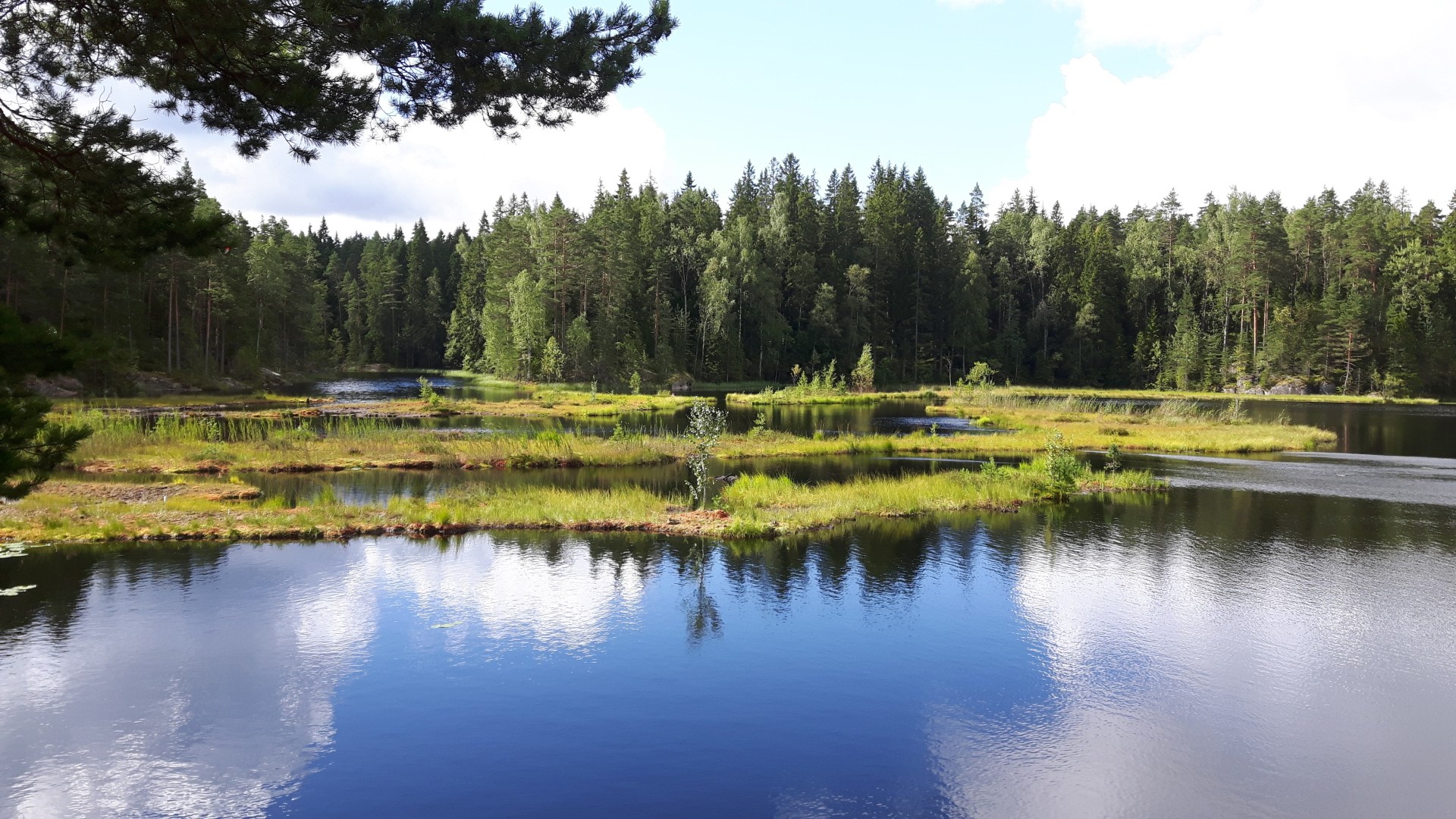 Day Trips into Nature: Nuuksio National Park from Helsinki