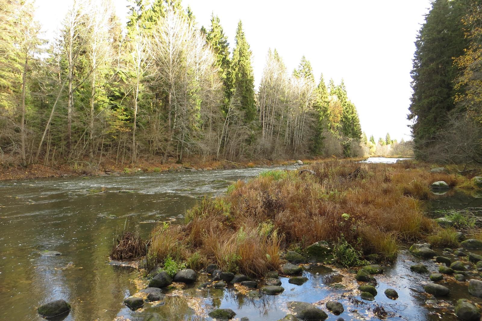 Day Trips into Nature: Nuuksio National Park from Helsinki